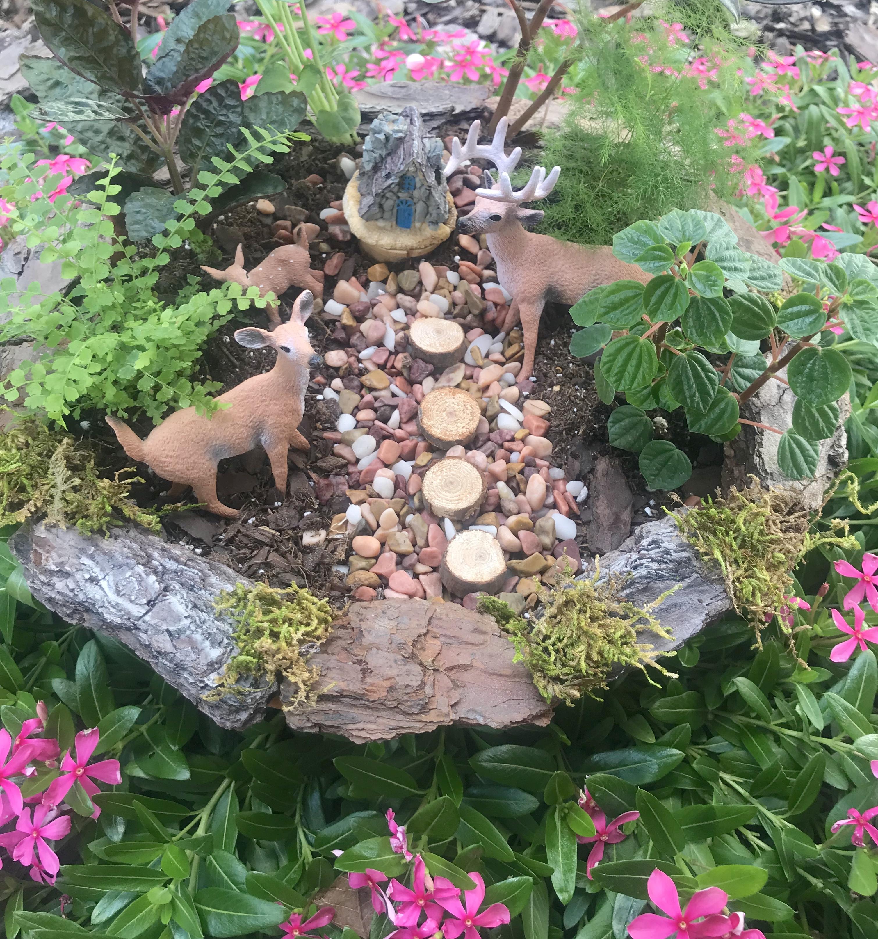 Enchanted Forest Potted Garden
