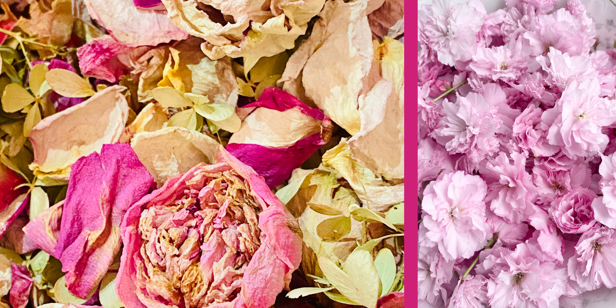 Garden Harvest Potpourri Party