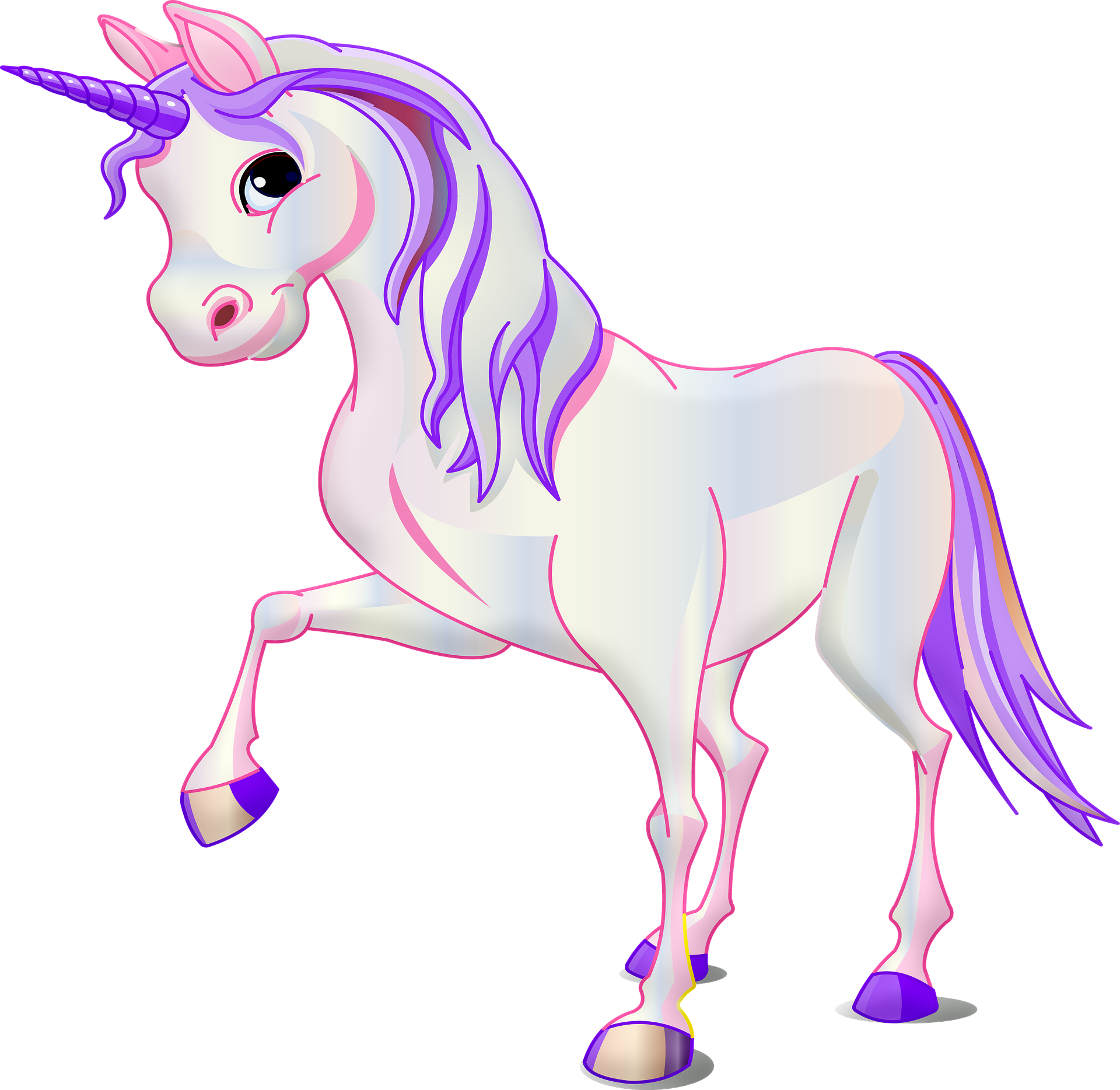Magical Unicorn Party