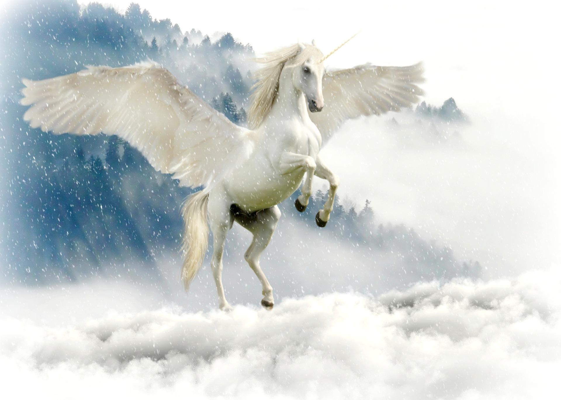 Magical Unicorn Party
