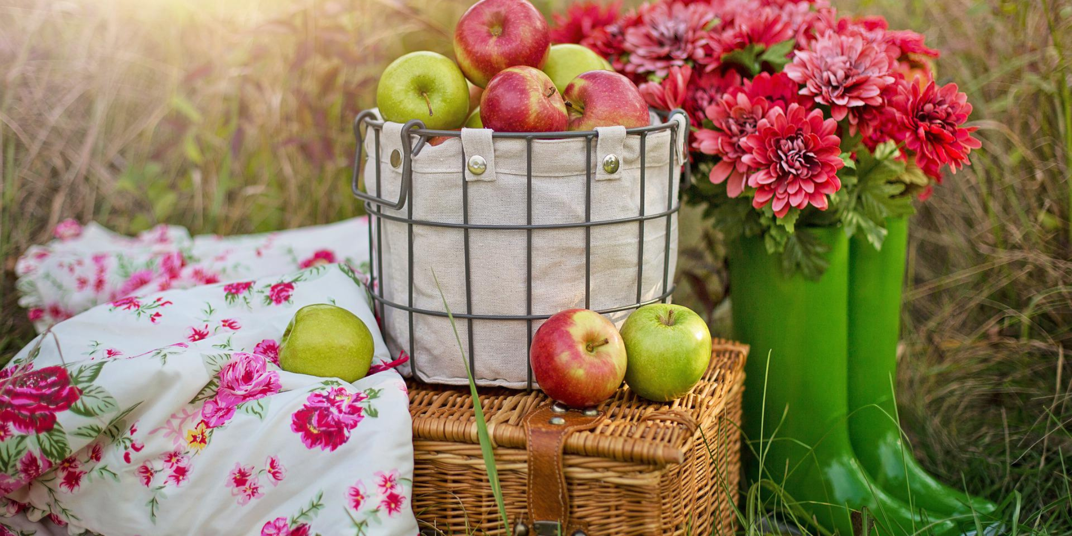 Apple Harvest & Baking Day