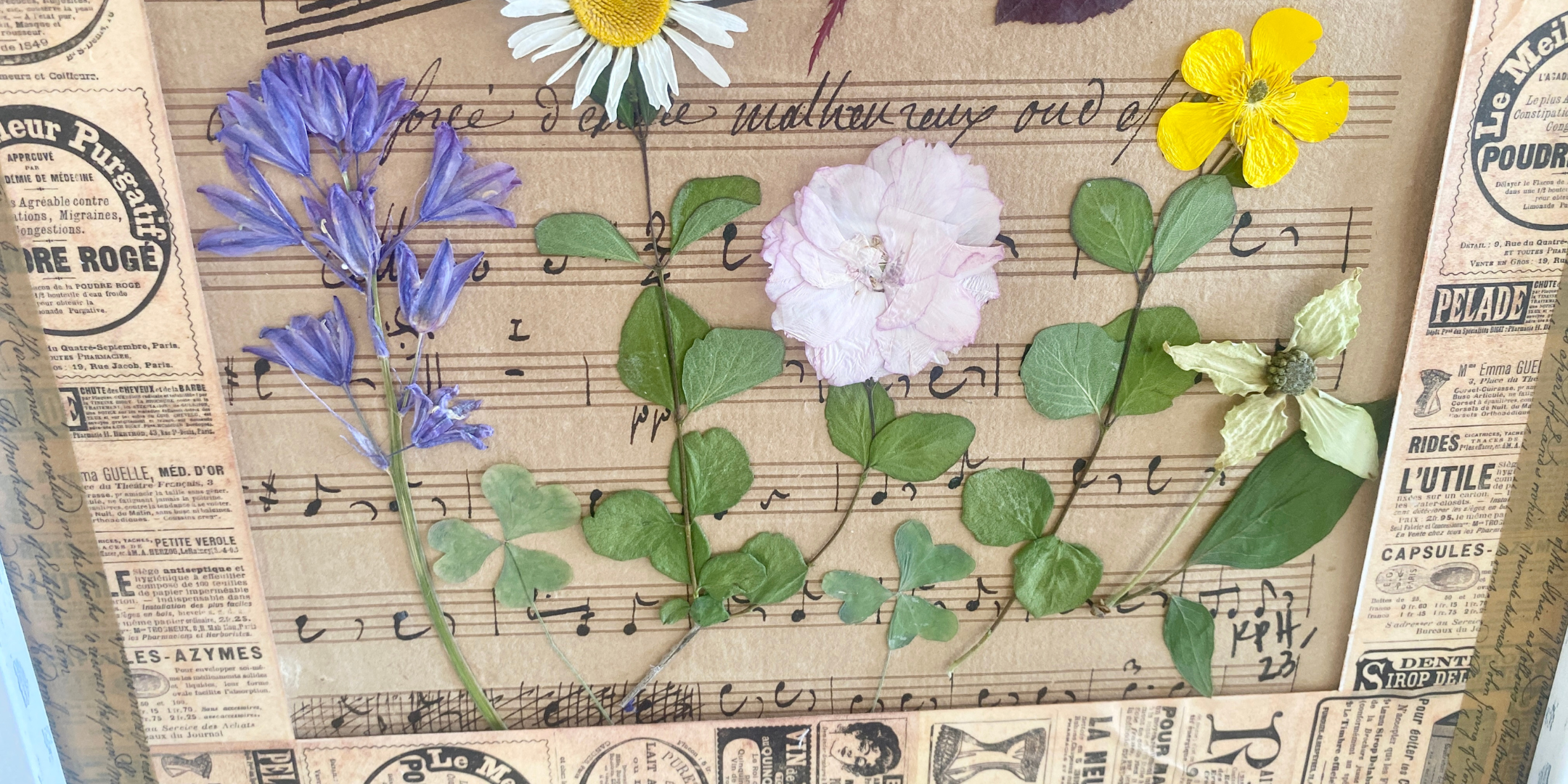 French Pressed Botanical Art