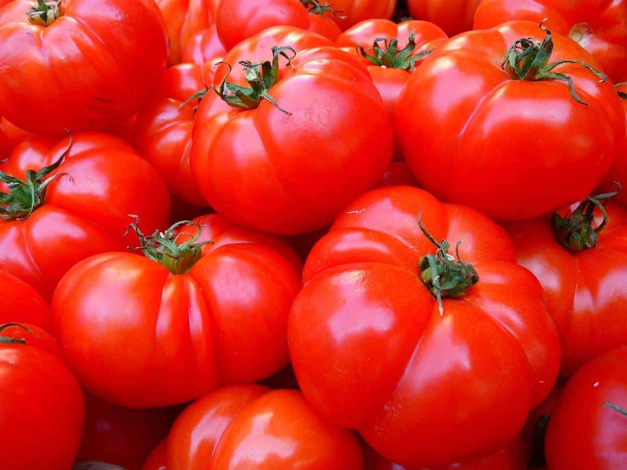 “Oh My!” Tomato Pie