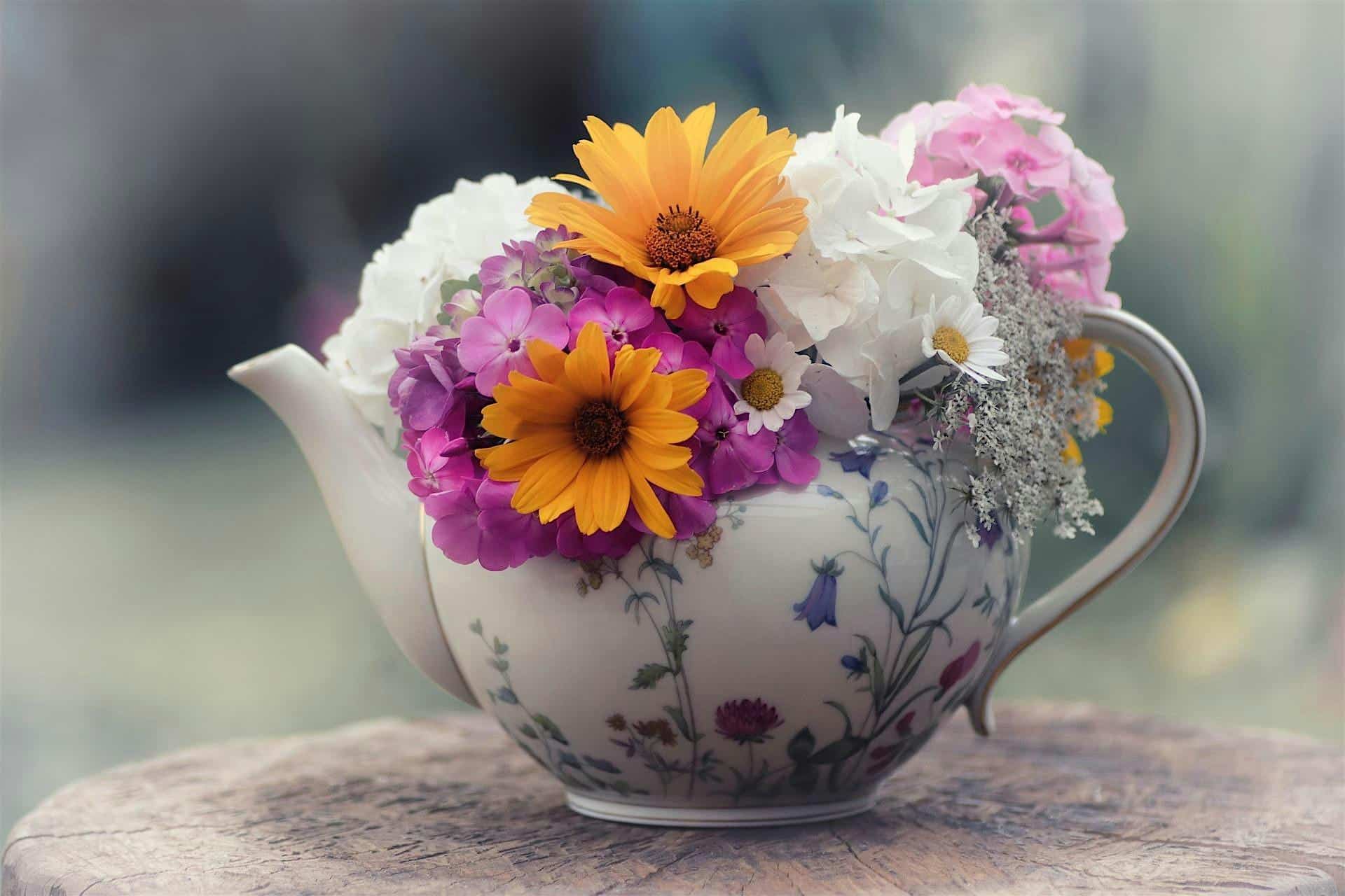 “Welcome Spring” Lunch and Tea