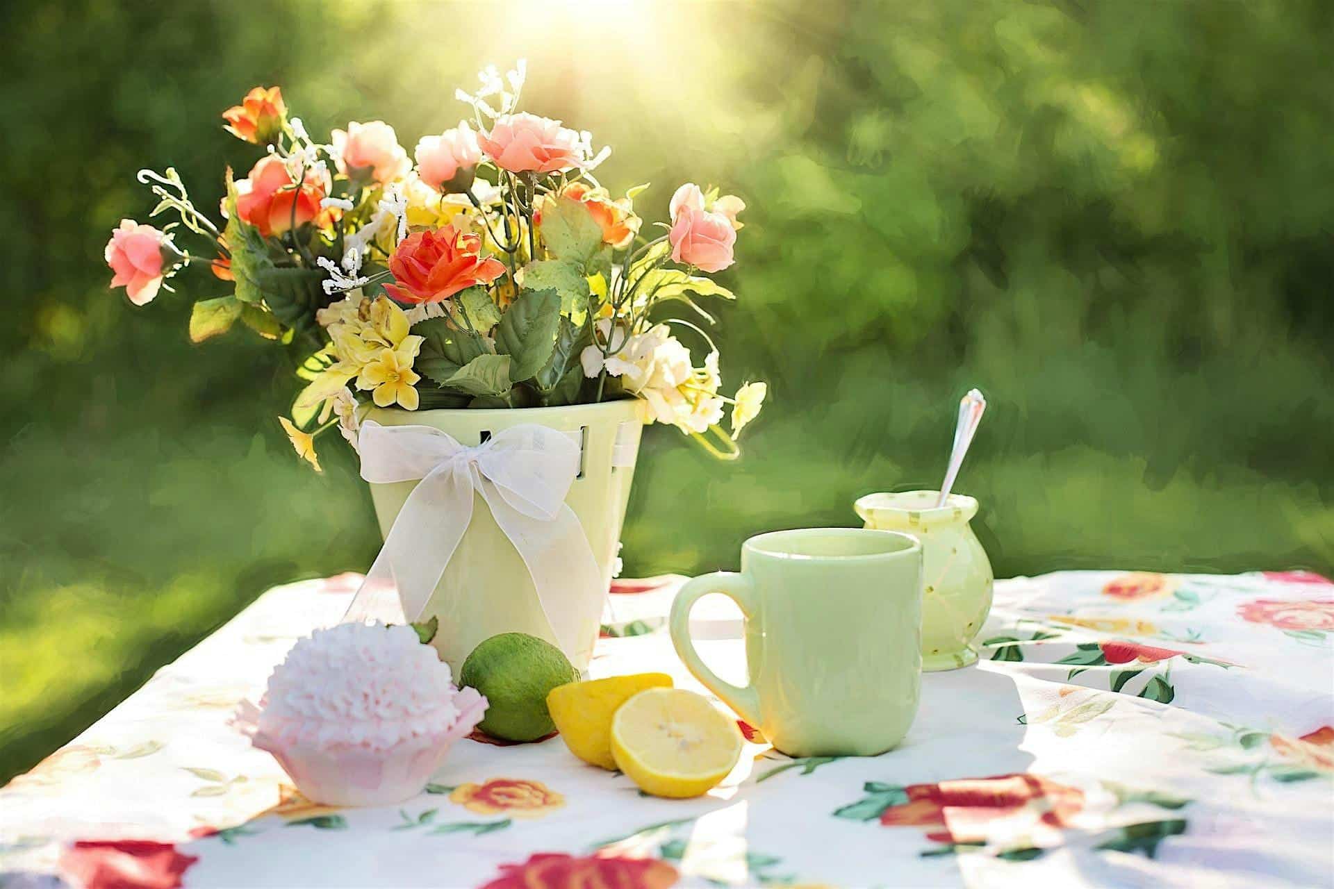 The Love of Lemons